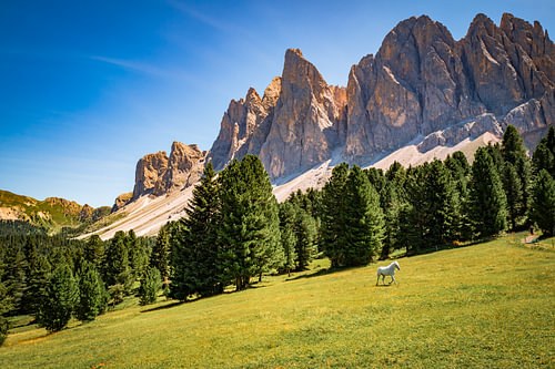 White Horse on the Adolf Munkel Trail – Picturesque Mountain Landscape in the Dolomites