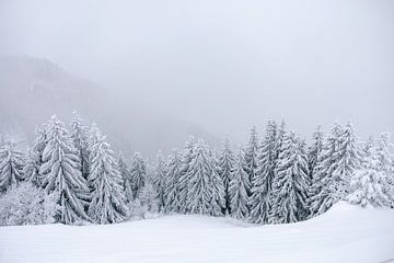 Winters landschap van Marika Huisman fotografie