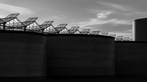 De dakramen staan open in de kas