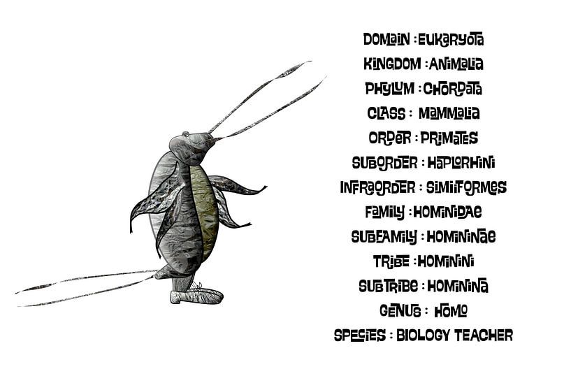 Taxonomie für Biologielehrer von Grüntyers .