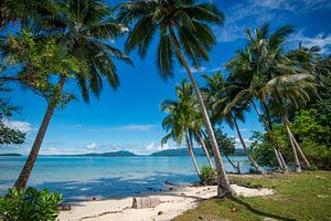 Tropischer Strand auf den Salomon-Inseln von Ron van der Stappen