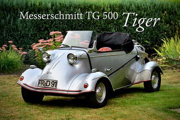 Messerschmitt TG 500 Tiger Pic 13 von Ingo Laue