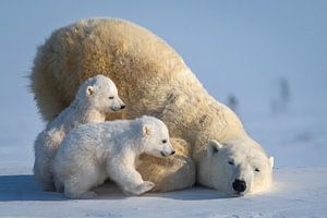 Mama, zusammen spielen, Hung Tsui von 1x