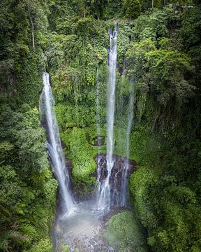 Bali waterval van Nick de Jonge - Skeyes