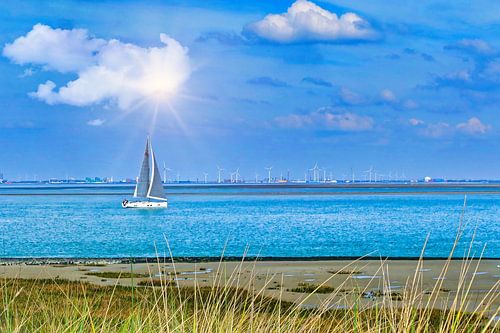 Sailing boat on the Scheldt near Vlissingen