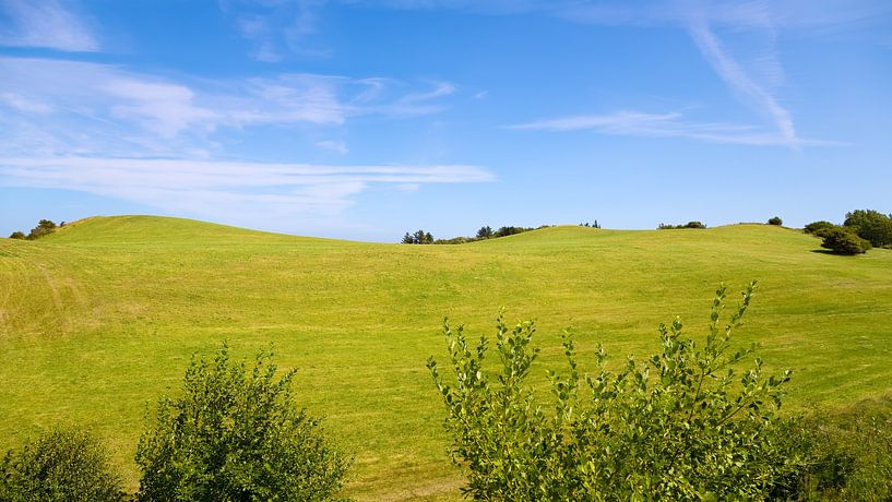 Green grass by Bo Valentino