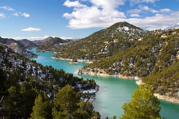 Lac vert sur Cornelis (Cees) Cornelissen