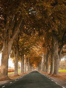 Herbst 25 von snippephotography