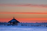 Winter morning
