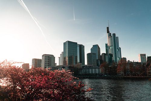 Frankfurt Stadsgezicht met kersenbloesems van Mert Sezer
