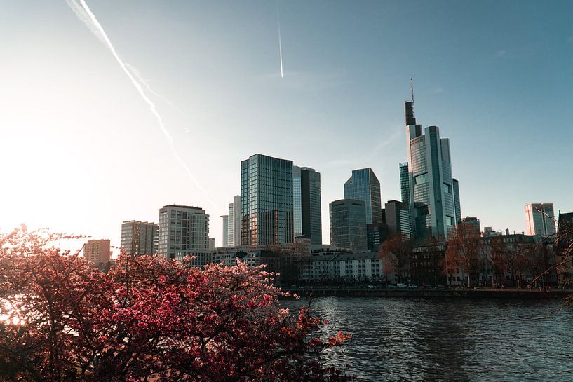 Frankfurt Cityscape mit Kirschblüten von Mert Sezer