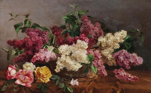 António José da Costa~Roze paars