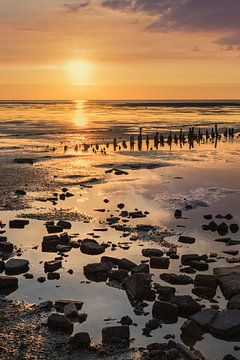 Summer evening at the Wadden Sea by Marga Vroom
