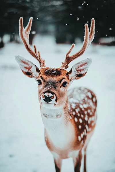 Deer in the snow by Poster Art Shop