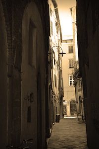 Toskana Italien Lucca Stadtzentrum Sepia