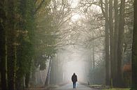 Wandelen naar het licht van Jos Erkamp thumbnail