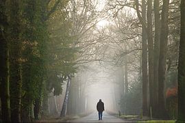 Wandelen naar het licht von Jos Erkamp