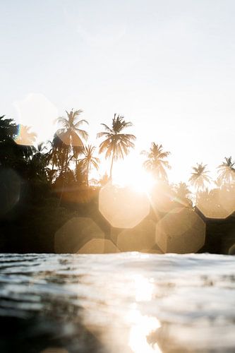 ~ DIRTY PARADISE ~ sur Melchior | Lifestyle Art Photography