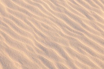Vagues du vent dans le sable | photographie de voyage imprimée | Schiermonnikoog, Pays-Bas