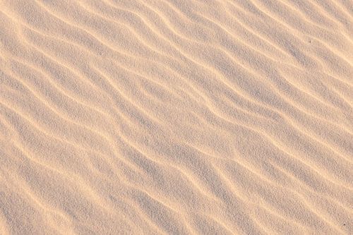Waves of wind in the sand | travel photography print | Schiermonnikoog, Netherlands