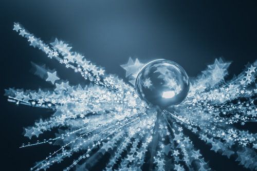 Waterdruppels op pluisje met ster vormige bokeh