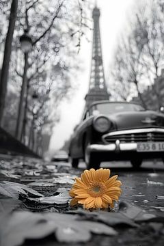 Vintage charme in Parijs van Skyfall
