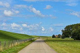 sur le chemin de la digue de mer en Frise sur Double u photography