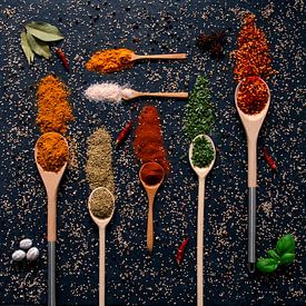 Cheerful colourful palette of spices and herbs on ladles by Francis Dost