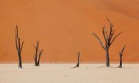 Woestijn Namibië van Jeffrey Groeneweg thumbnail