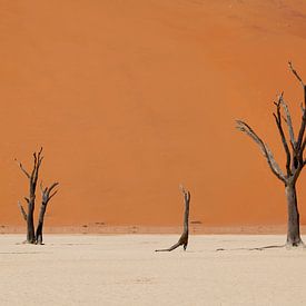 Désert Namibie sur Jeffrey Groeneweg