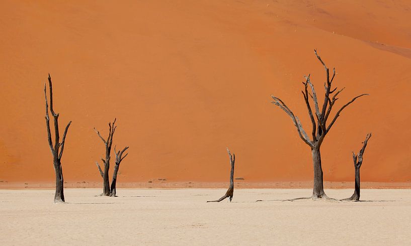 Woestijn Namibië van Jeffrey Groeneweg