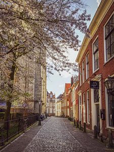 Kloksteeg Leiden