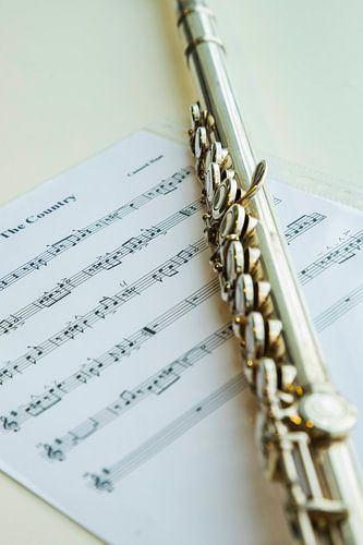 Flute, musical instrument
