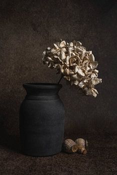 Stilleven met een gedroogde hortensia in een vaas