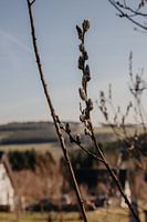 Winterberg