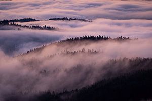 Neblige Landschaft