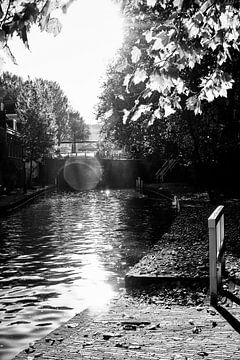 Herfstlicht op de werven van de Oudegracht en de Bijlhouwersbrug in Utrecht van André Blom Fotografie Utrecht