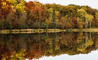 Herfst in het Leersumse Veld