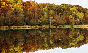 Autumn in the "Leersumse Veld" sur Dirk Jan Kralt