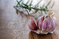 knoflook, rozemarijn op de achtergrond