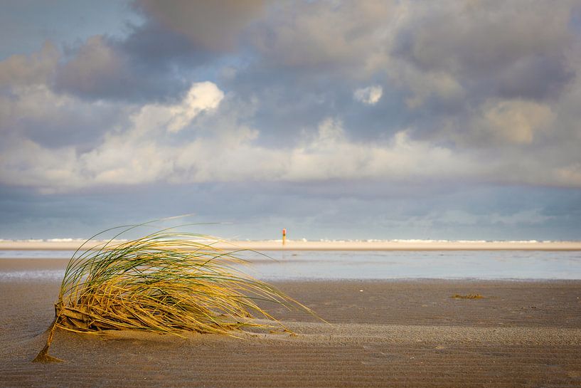 Malen mit Licht am Strand von Andy Luberti