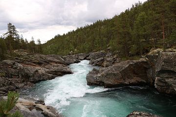 Wilde rivier van Myrthe Ruijgrok