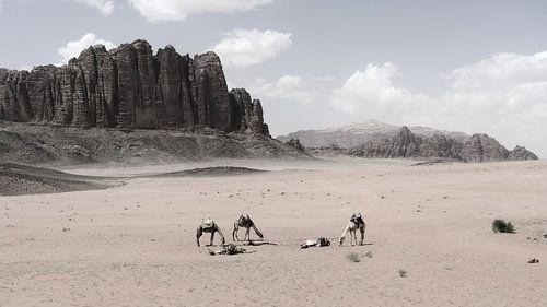 Paysage de rêve du Wadi Rum sur Oliver Lahrem