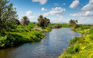 Salzsee von Larnaca, Zypern