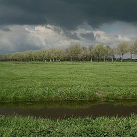 Foto EVC Profile picture