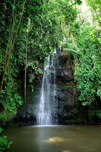 Another look at the waterfall