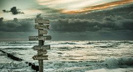 zeeland zoutelande von anne droogsma