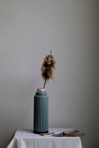 Nature morte d'une plante à cigare sur un thermos vintage