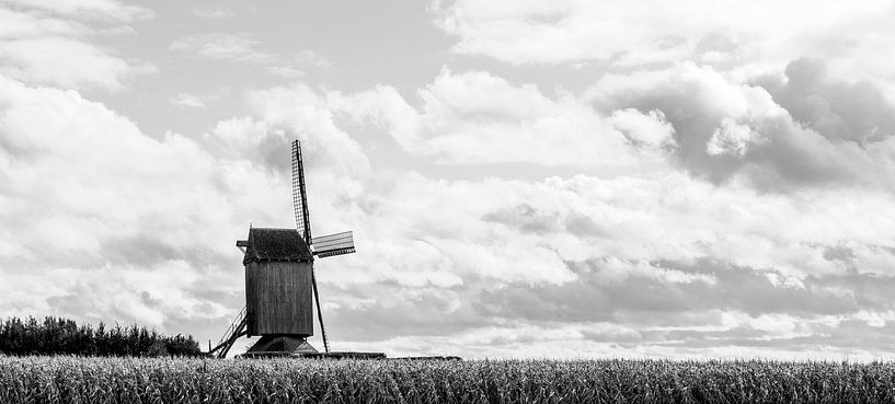 mill in landscape by Nancy Bogaert