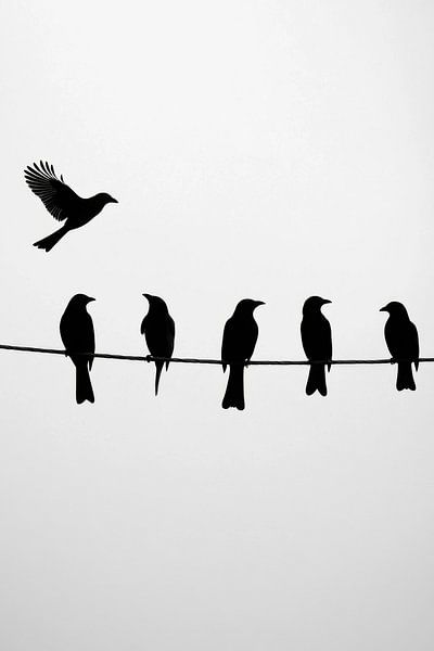 Birds on the line by Poster Art Shop